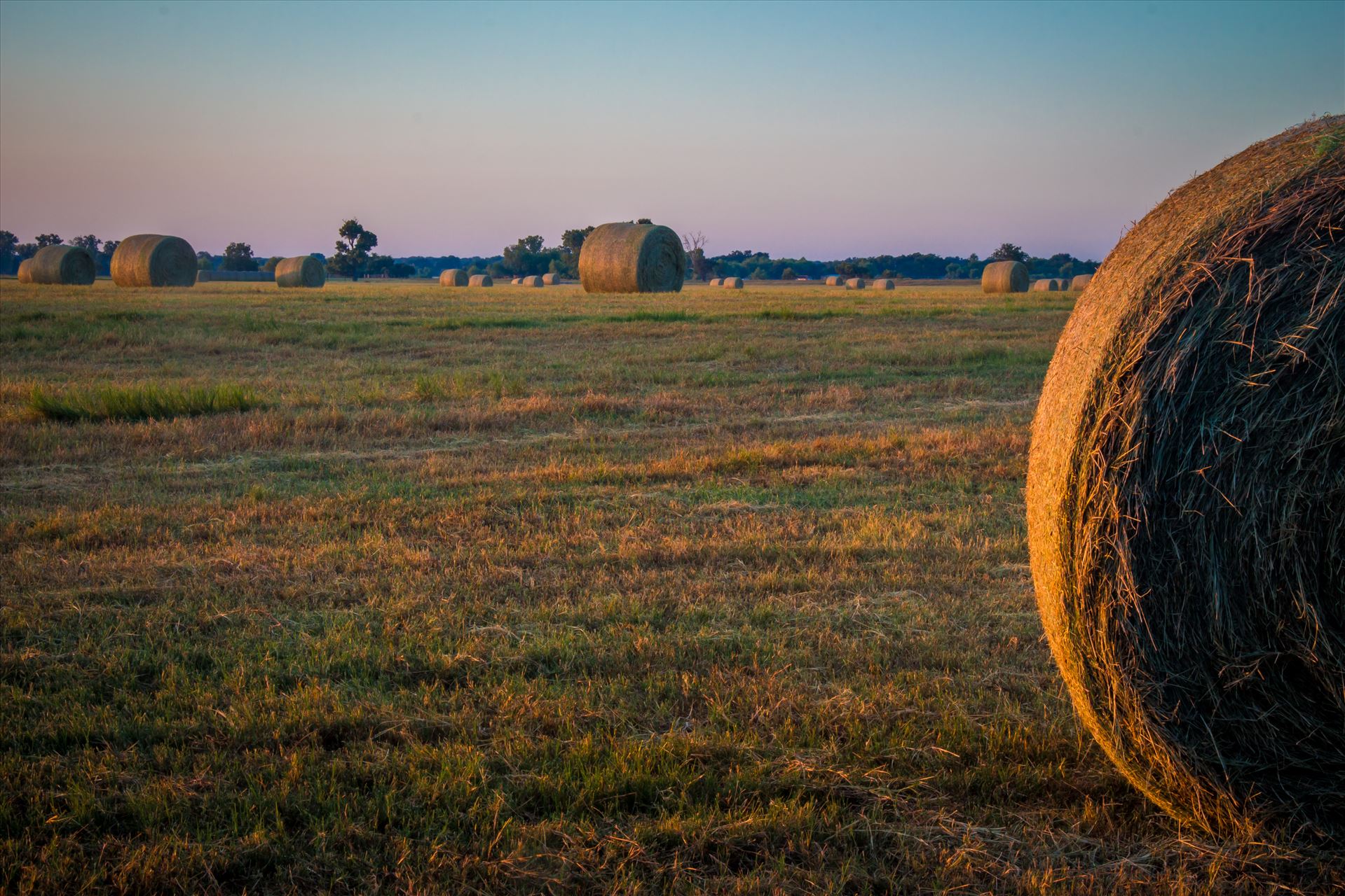 20170819_Hay Field_011.jpg -  by Charles Smith Photography