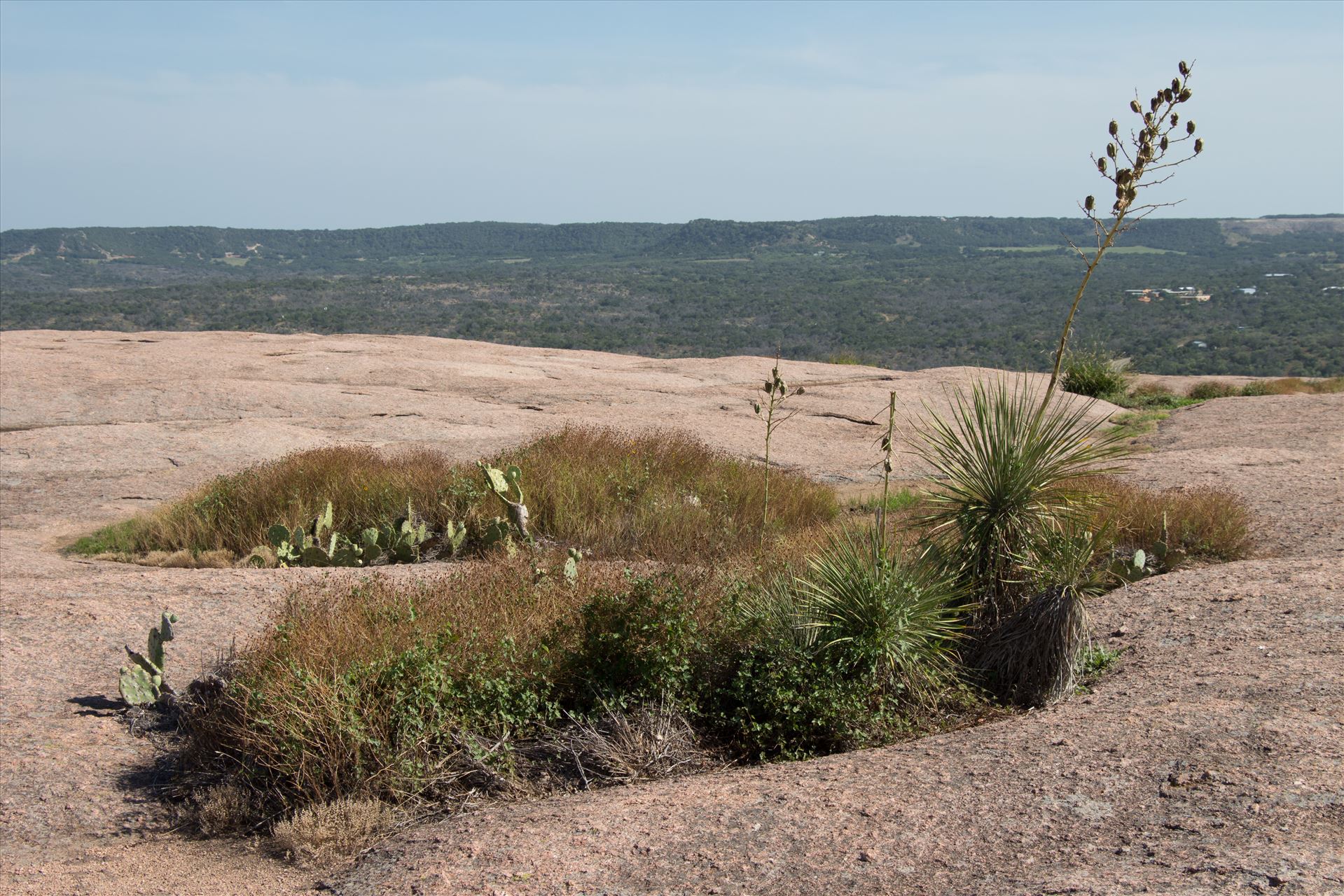 20130723-Enchanted Rock-DSLR-032.jpg -  by Charles Smith Photography