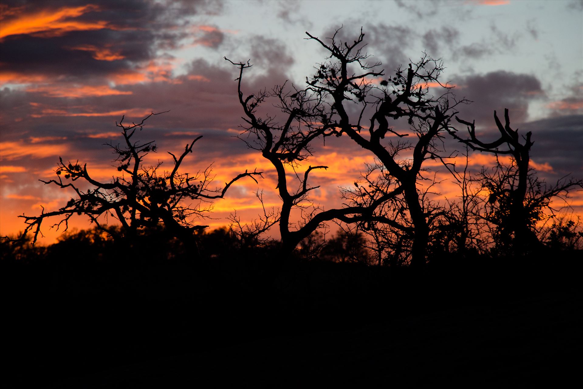 20140112-Enchanted Rock-DSLR-084.jpg -  by Charles Smith Photography