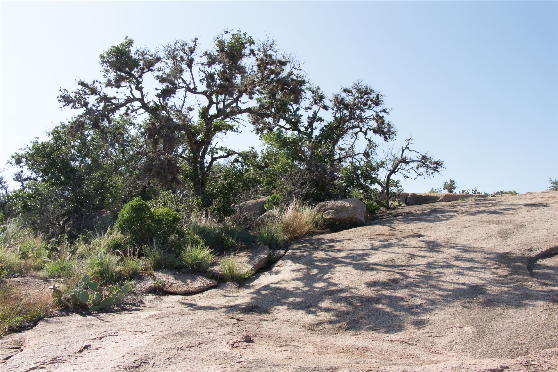 20130723-Enchanted Rock-DSLR-053.jpg -  by Charles Smith Photography