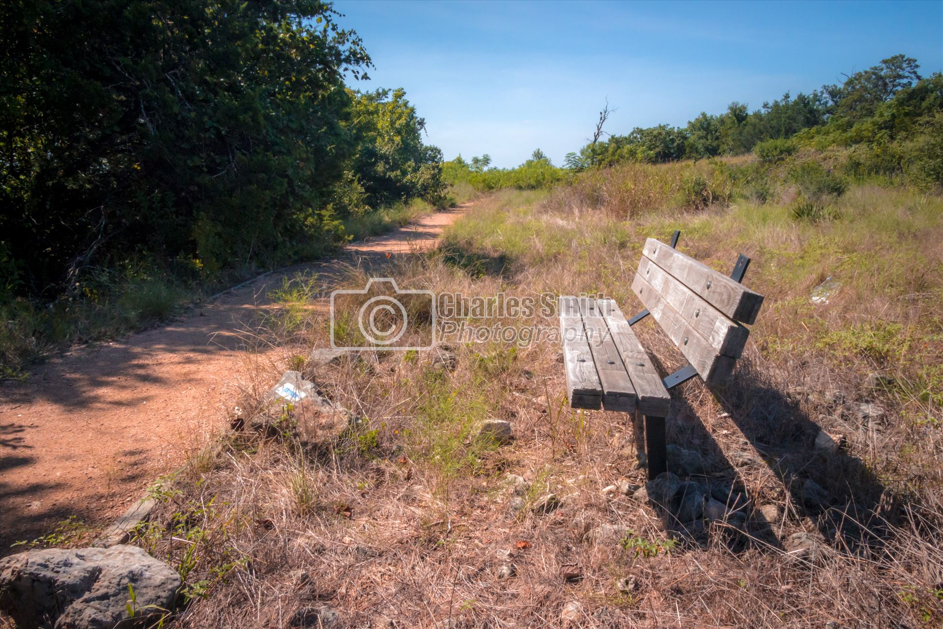 Blazing Bench -  by Charles Smith Photography