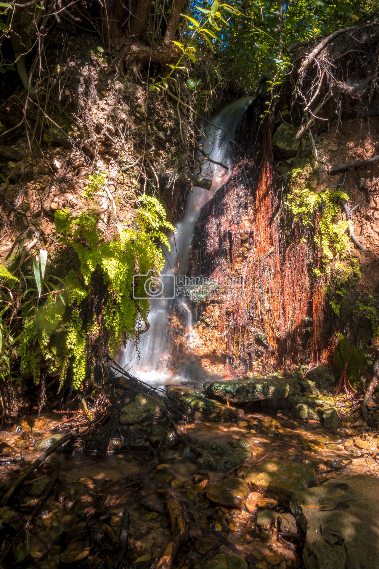 Hidden Falls -  by Charles Smith Photography